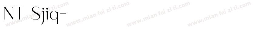 NT Sjiq字体转换